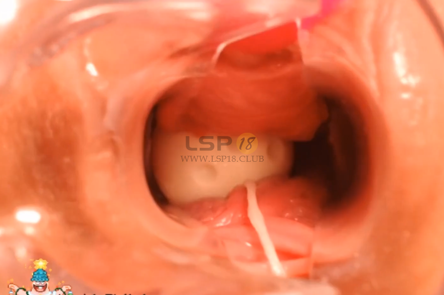 高清晰阴道内窥镜，包含放入跳蛋的反应